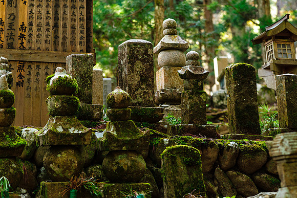 2015 Japan Travel Photography
