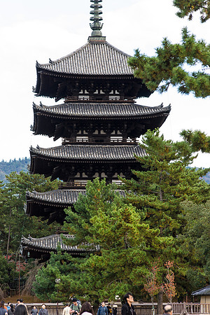 2015 Japan Travel Photography