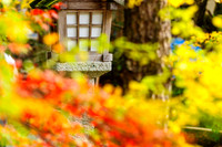 2015 Japan Travel Photography
