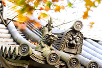 2015 Japan Travel Photography