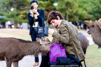 Sneak Deer Attack in Nara
