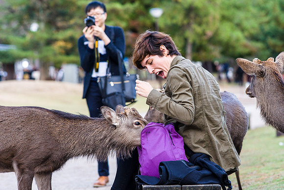 Sneak Deer Attack in Nara