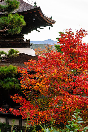 Temple overlooking Kyoto