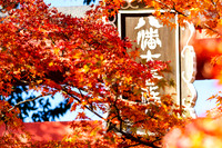 Kyoto in the Fall
