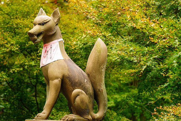 2015 Japan Travel Photography