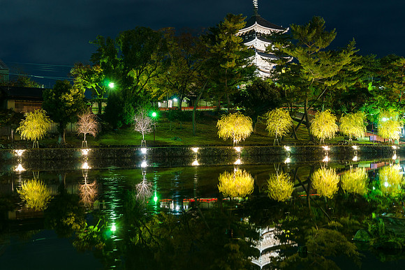 2015 Japan Travel Photography
