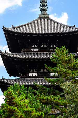 2015 Japan Travel Photography