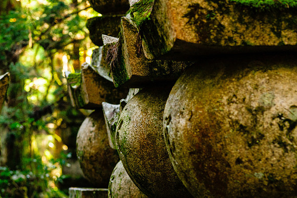 2015 Japan Travel Photography