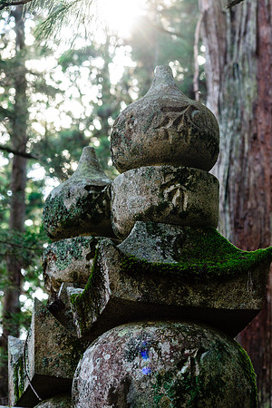 2015 Japan Travel Photography