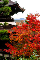 2015 Japan Travel Photography