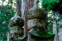2015 Japan Travel Photography