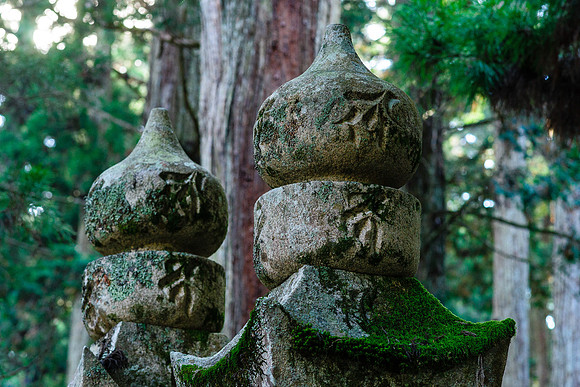 2015 Japan Travel Photography
