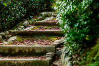 2015 Japan Travel Photography