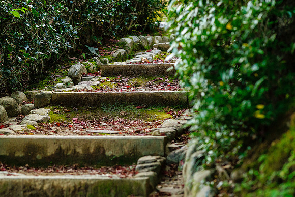 2015 Japan Travel Photography