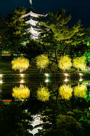 2015 Japan Travel Photography