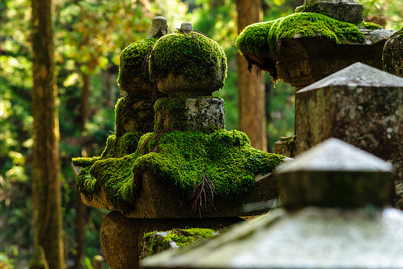 2015 Japan Travel Photography