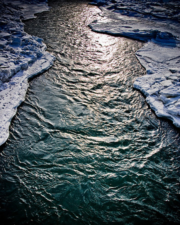 Bow River Calgary Winter